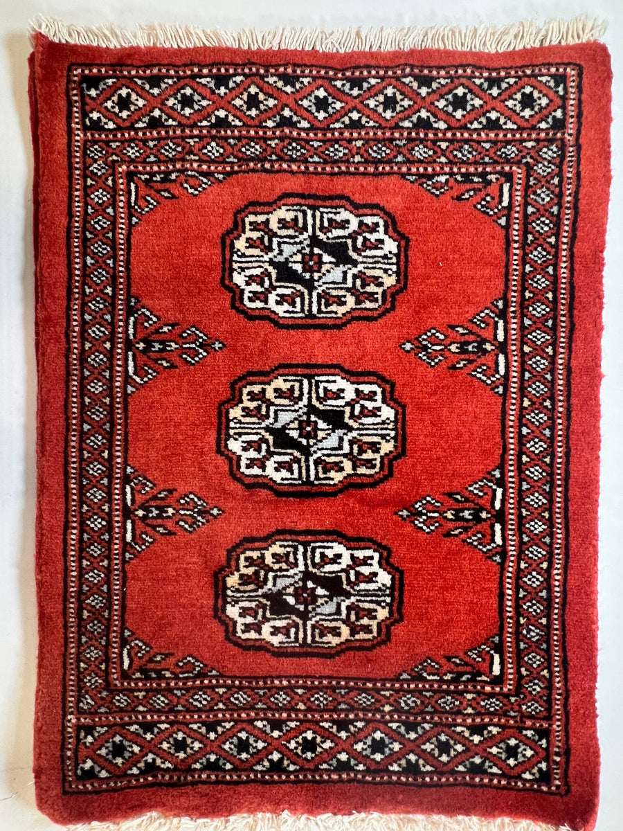 IMG_6166-Copy_1200x1200.jpg?v=