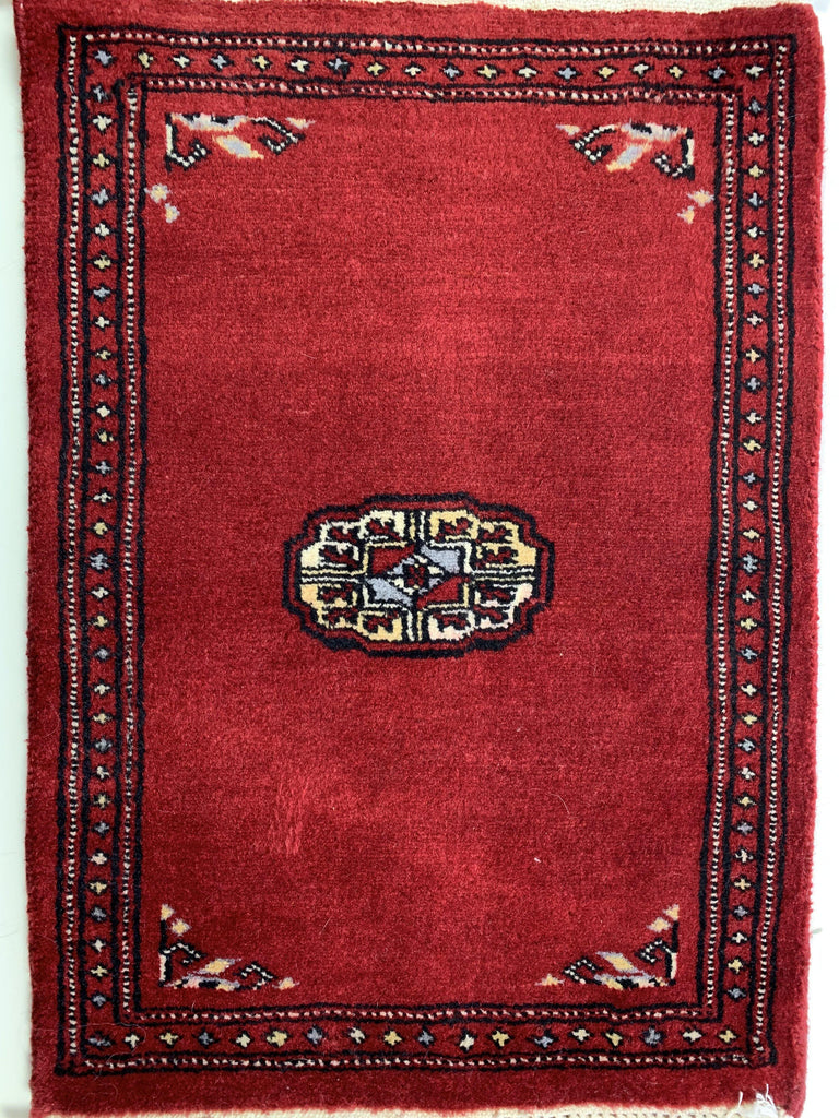 The Edgartown - CarpetRides